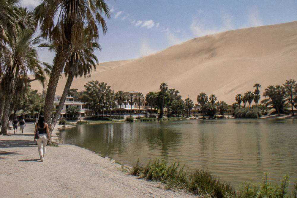 Sand dunes rising steeply behind a small oasis village with palm trees