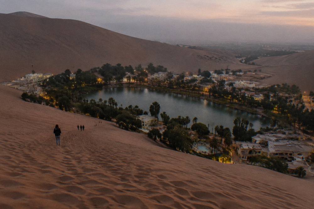 A wooden boardwalk beside a small lagoon with palm trees and sand slopes behind