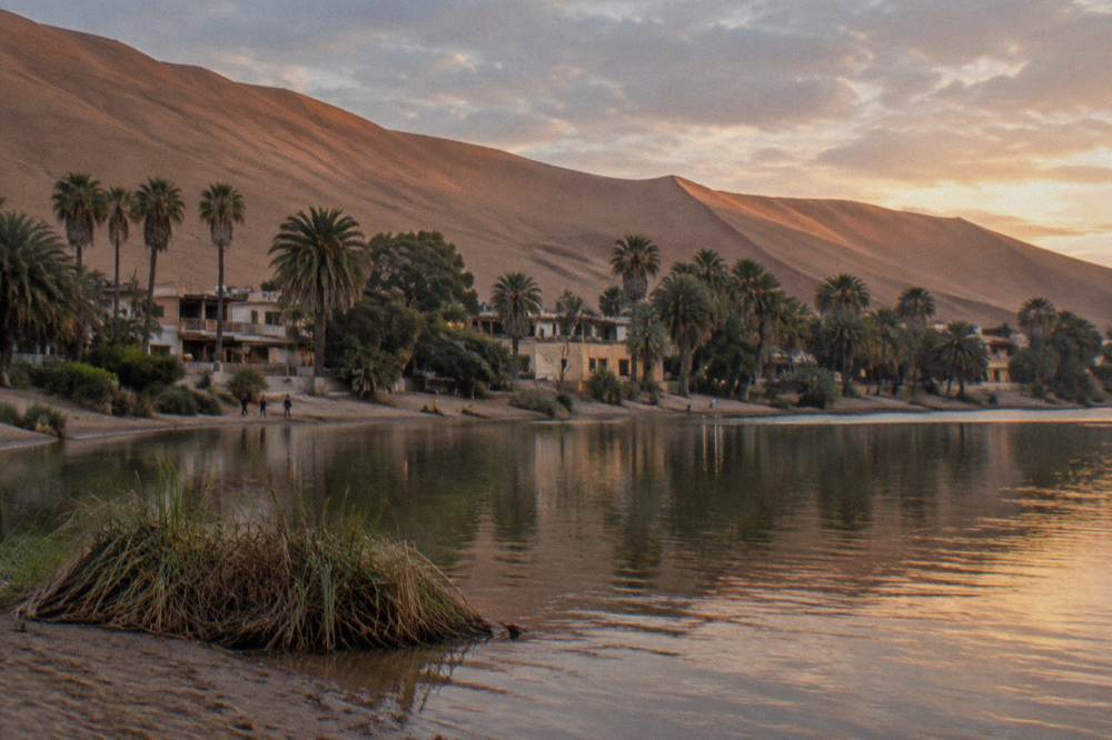Tall desert dunes rising above a small green oasis village with palm trees at their base
