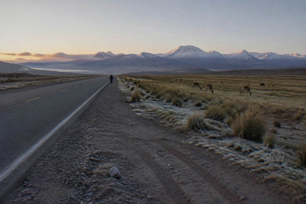 Open altiplano grassland with distant snow peaks and a long straight road