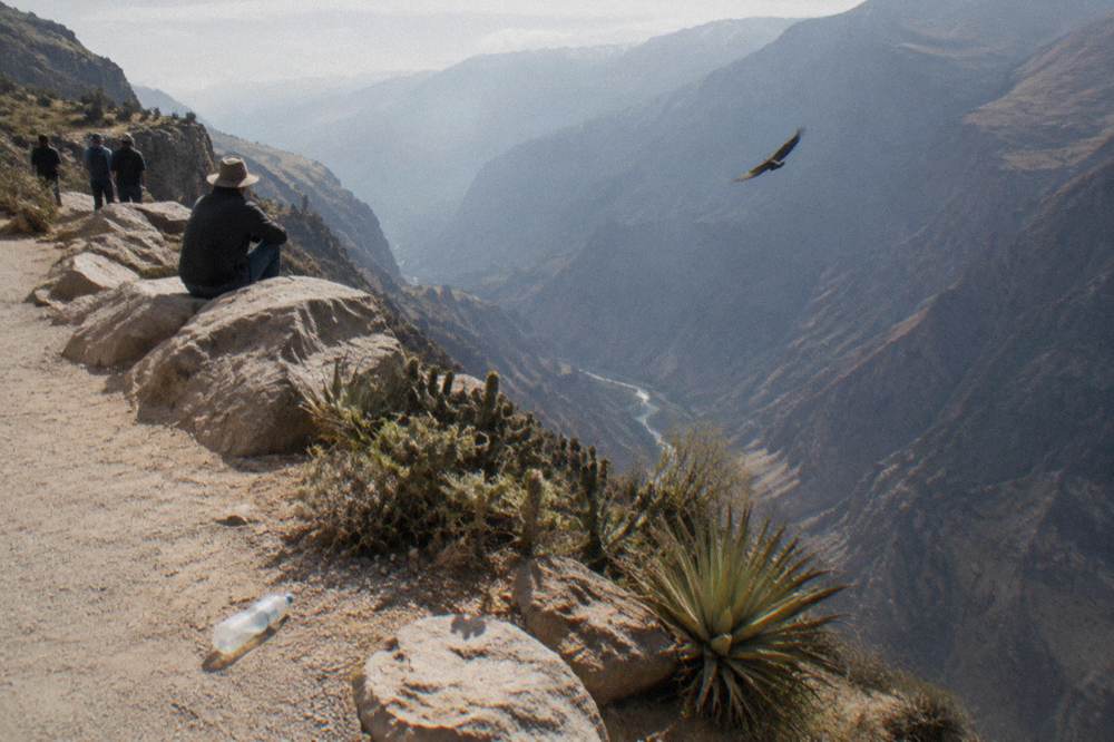 Deep canyon walls at a morning viewpoint with a river winding along the valley floor