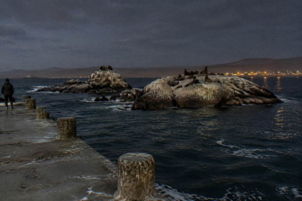 Sea lions resting on rocky islands off the Paracas coast