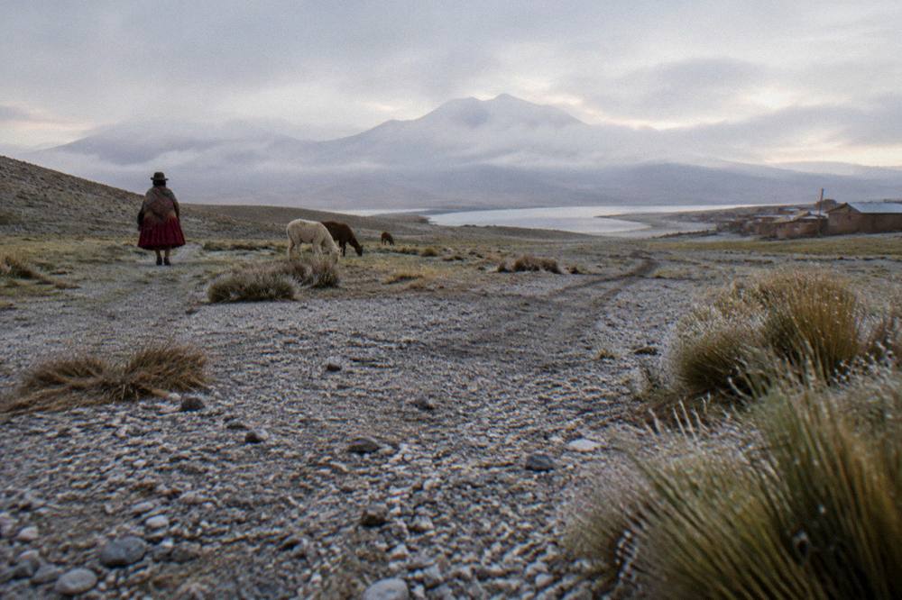 Wide high plateau with a vast sky and distant mountains under thin clouds at dawn