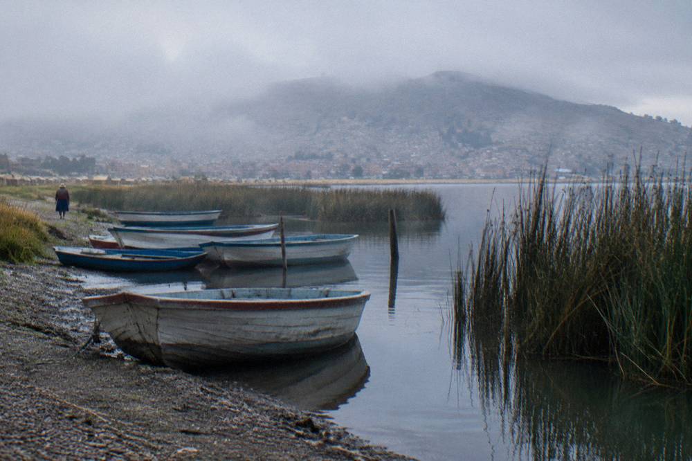 Row of boats moored on a lakeshore with reeds and morning light