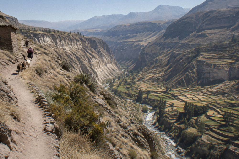 Deep Colca Canyon valley with terraced fields below the rim