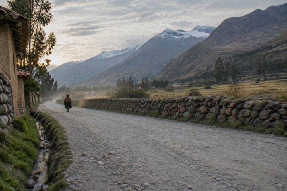 Open altiplano road with distant snow-capped peaks and wide grassland on both sides
