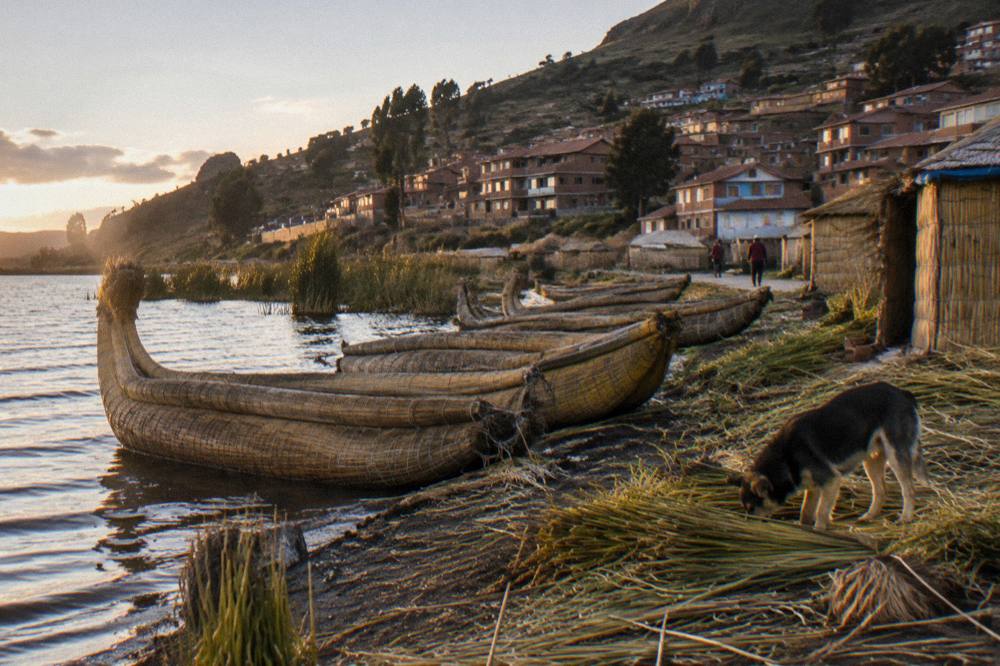 Reed boats moored near a Lake Titicaca shore at golden evening light