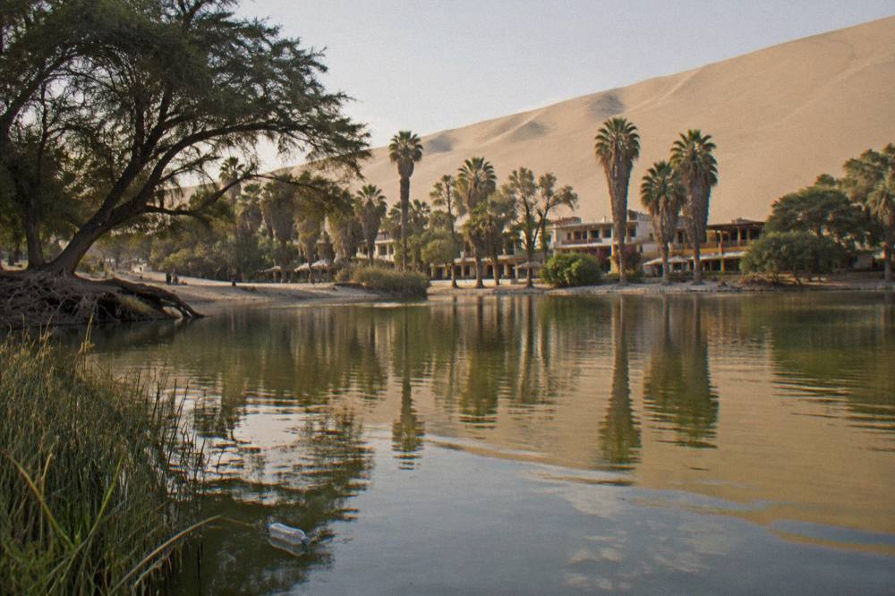 Oasis lagoon surrounded by palm trees and sand dunes under a bright sky