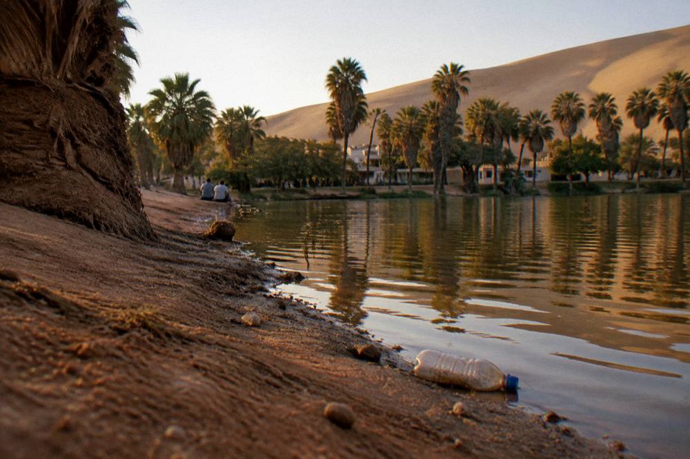 A desert lagoon ringed by palm trees and sand dunes at golden hour