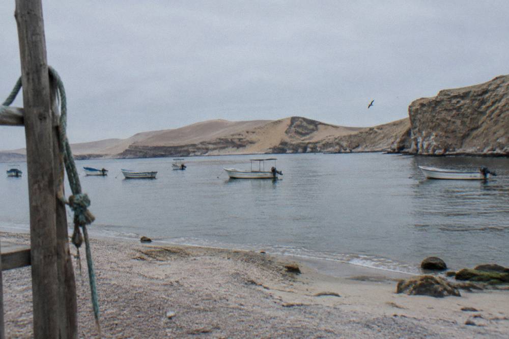 Small tour boats moored at a calm bay beside rocky desert cliffs in Paracas