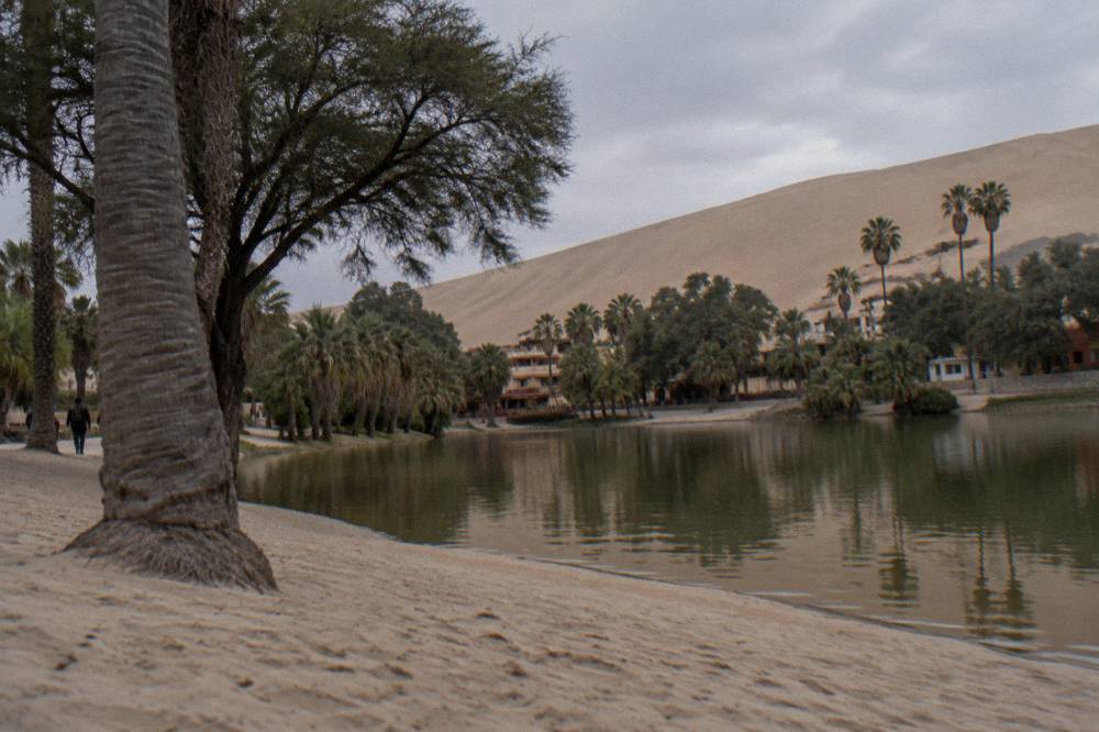 Sand dunes around a small desert oasis with palm trees at the edge of town