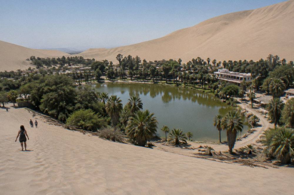 Sand dunes rising above a small desert lagoon ringed with palm trees in southern Peru